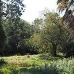 Feriehus Le Bois Aux Ecureuils - Eichhoernchenwald By Interhome
