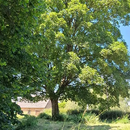 Le Bois Aux Ecureuils - Eichhoernchenwald By Interhome Ferienhaus Fierville-les-Mines
