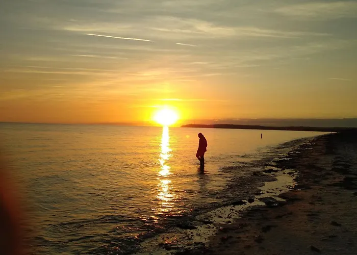 Le Bois Aux Ecureuils - Eichhoernchenwald By Interhome *
