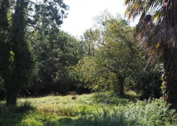 Holiday home Le Bois Aux Ecureuils - Eichhoernchenwald By Interhome