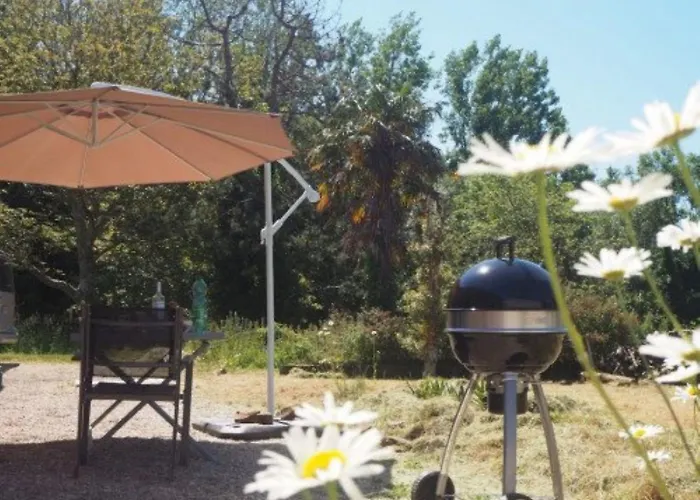 Le Bois Aux Ecureuils - Eichhoernchenwald By Interhome