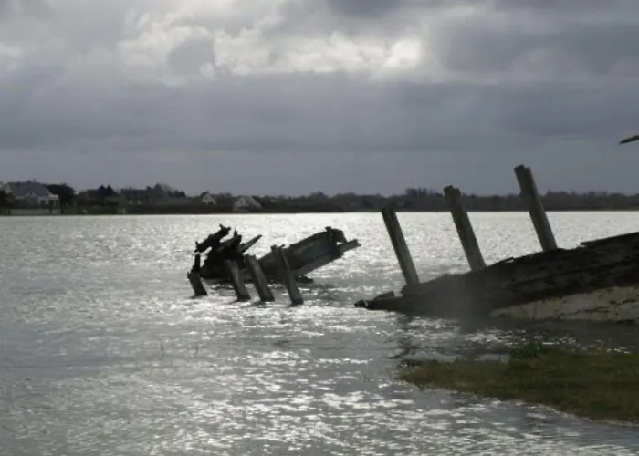 Le Bois Aux Ecureuils - Eichhoernchenwald By Interhome