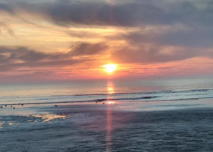 Le Bois Aux Ecureuils - Eichhoernchenwald By Interhome Fierville-les-Mines