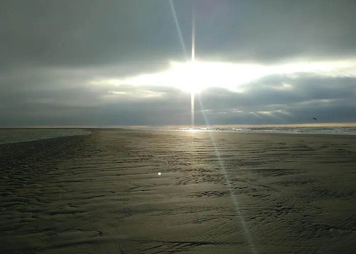 Holiday home Le Bois Aux Ecureuils - Eichhoernchenwald By Interhome *