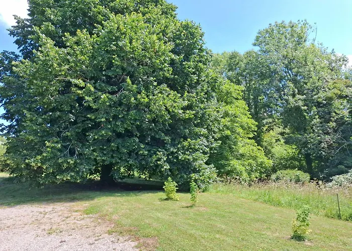 Le Bois Aux Ecureuils - Eichhoernchenwald By Interhome Holiday home *