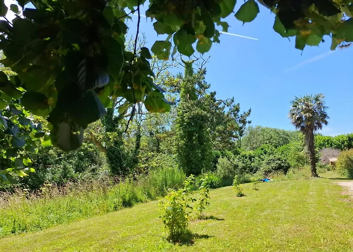 Le Bois Aux Ecureuils - Eichhoernchenwald By Interhome