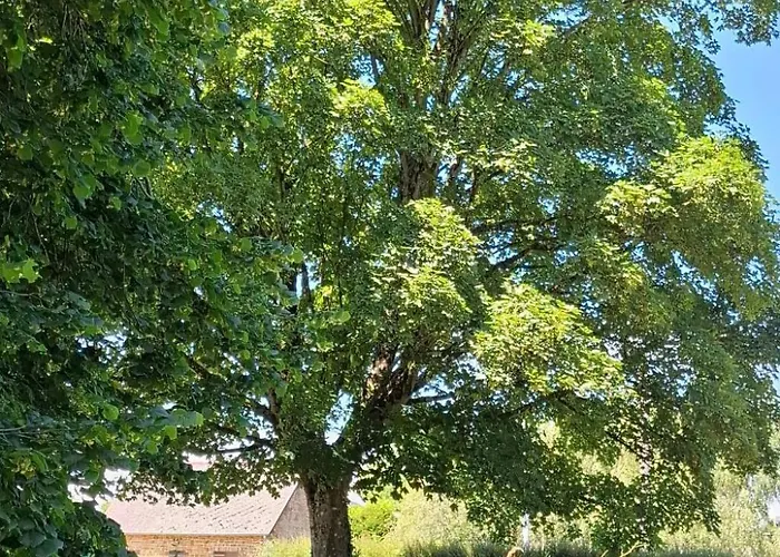 Le Bois Aux Ecureuils - Eichhoernchenwald By Interhome Holiday home Fierville-les-Mines